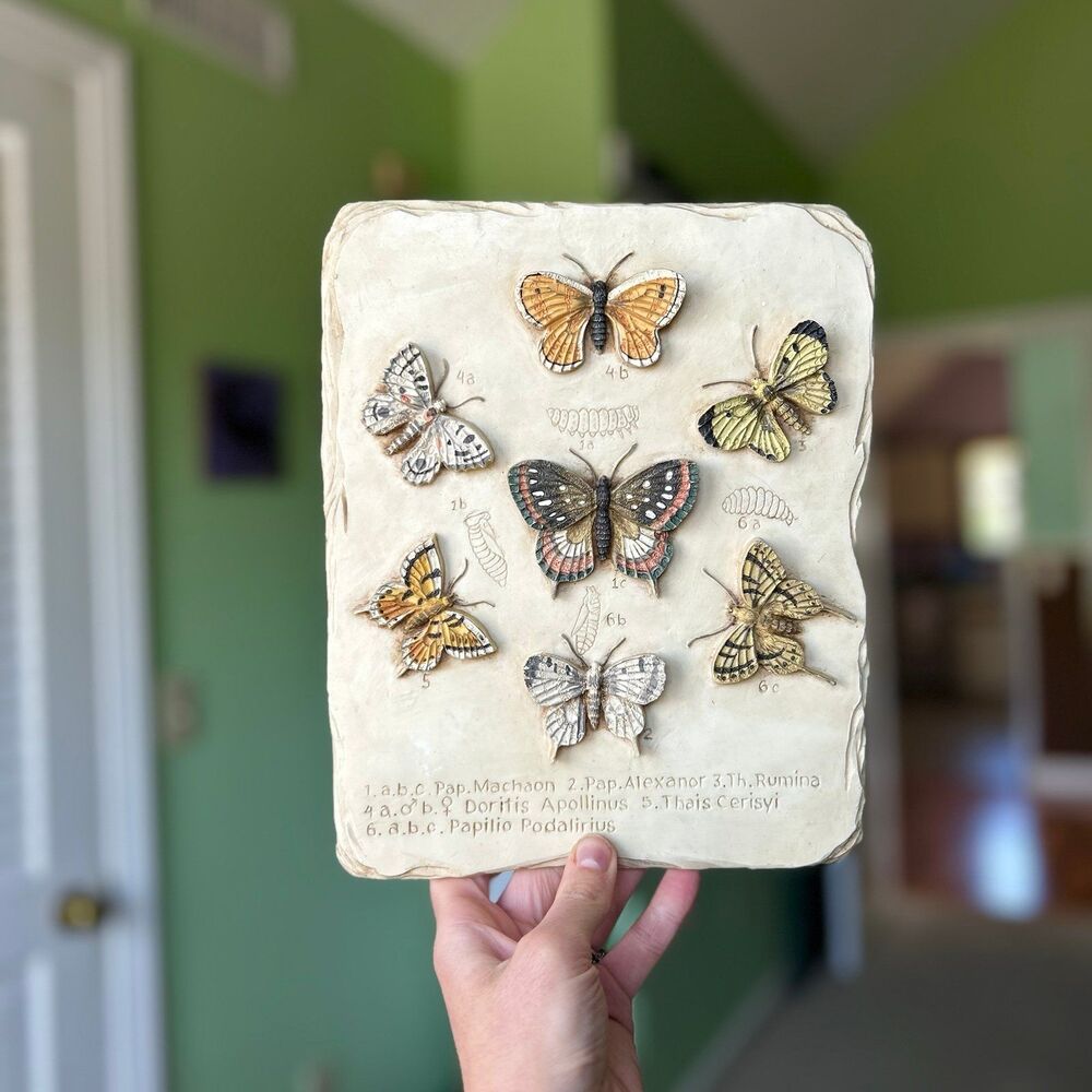 ❌SOLD - Picture 4 of 6